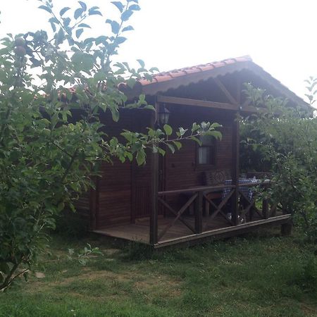 Salkim Konak Ve Agac Evler Guest House Selcuk Room photo