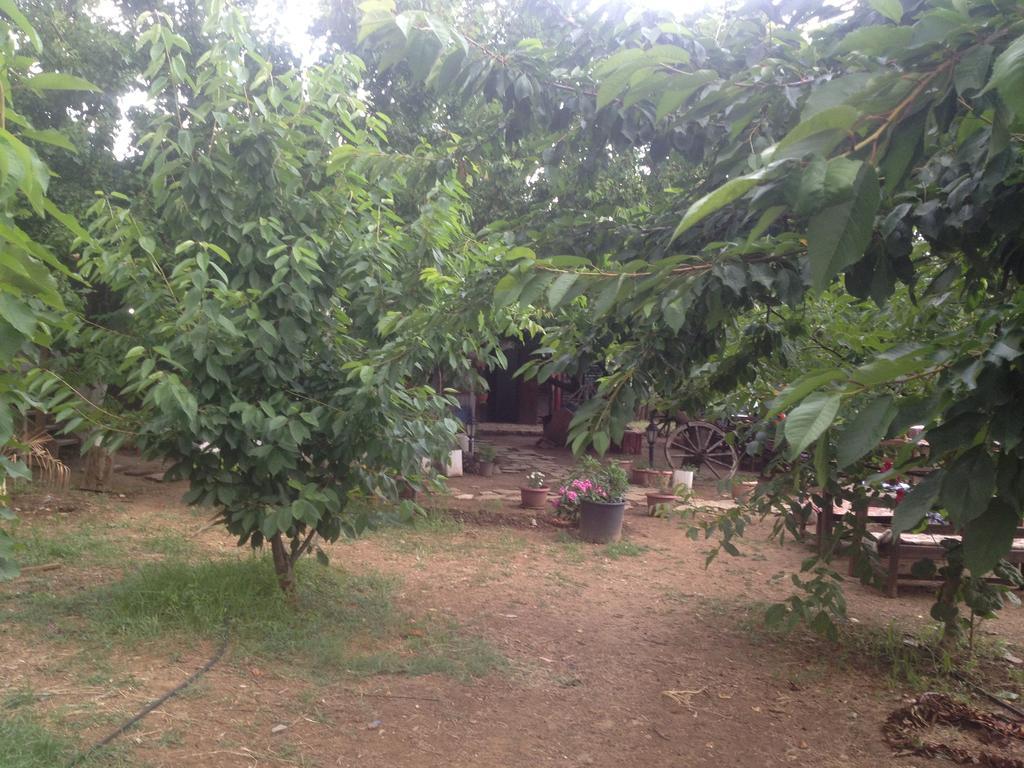Salkim Konak Ve Agac Evler Guest House Selcuk Room photo