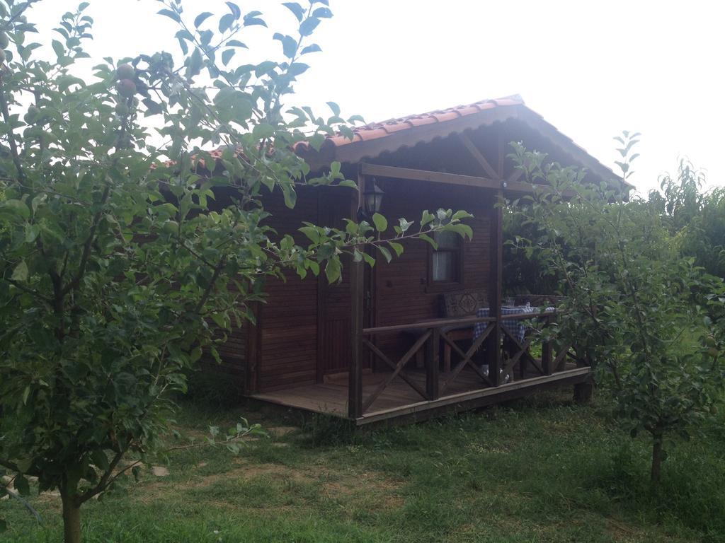 Salkim Konak Ve Agac Evler Guest House Selcuk Room photo