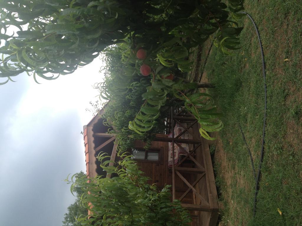 Salkim Konak Ve Agac Evler Guest House Selcuk Room photo