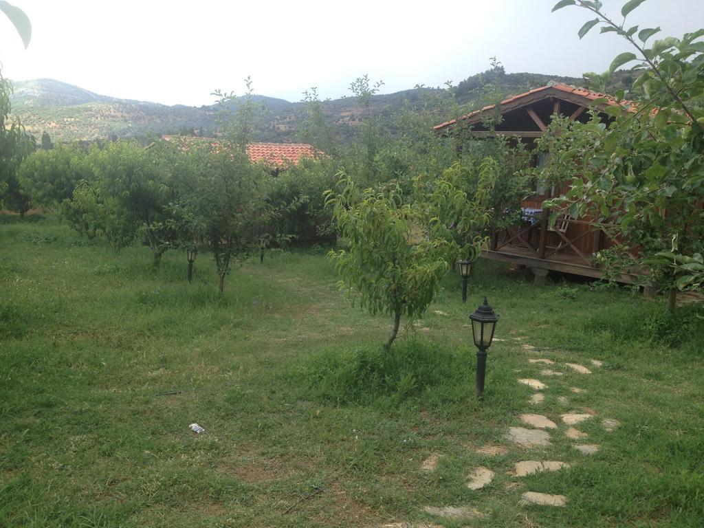 Salkim Konak Ve Agac Evler Guest House Selcuk Room photo