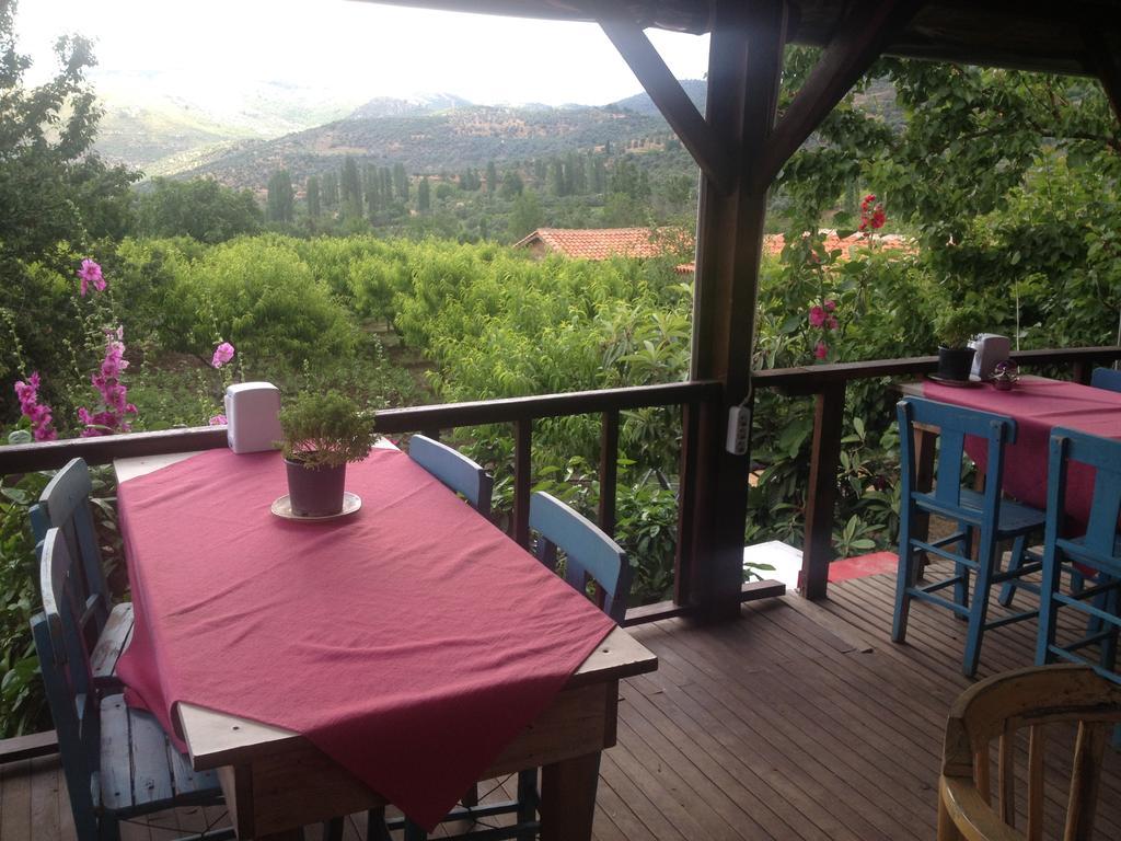Salkim Konak Ve Agac Evler Guest House Selcuk Exterior photo