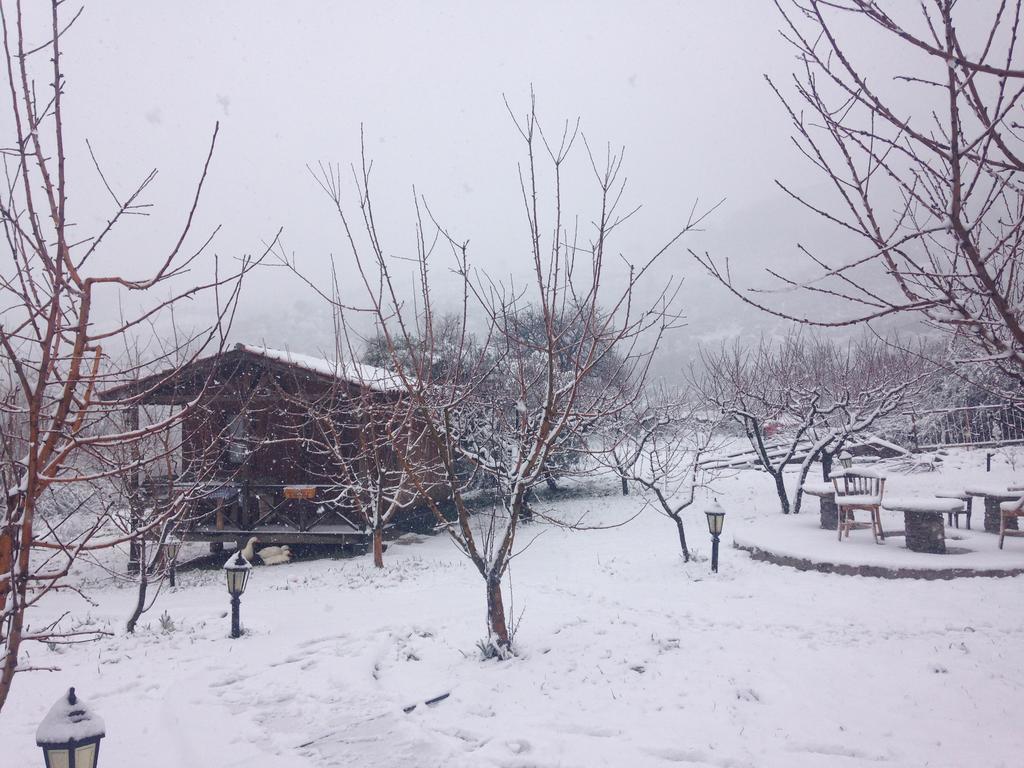 Salkim Konak Ve Agac Evler Guest House Selcuk Exterior photo