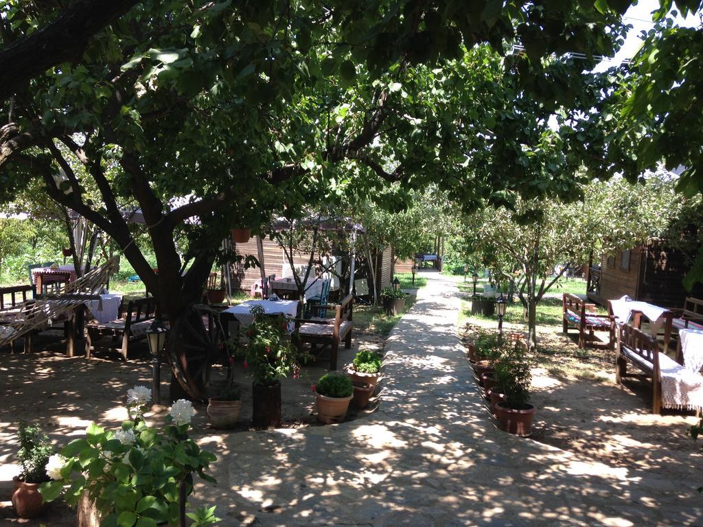 Salkim Konak Ve Agac Evler Guest House Selcuk Exterior photo