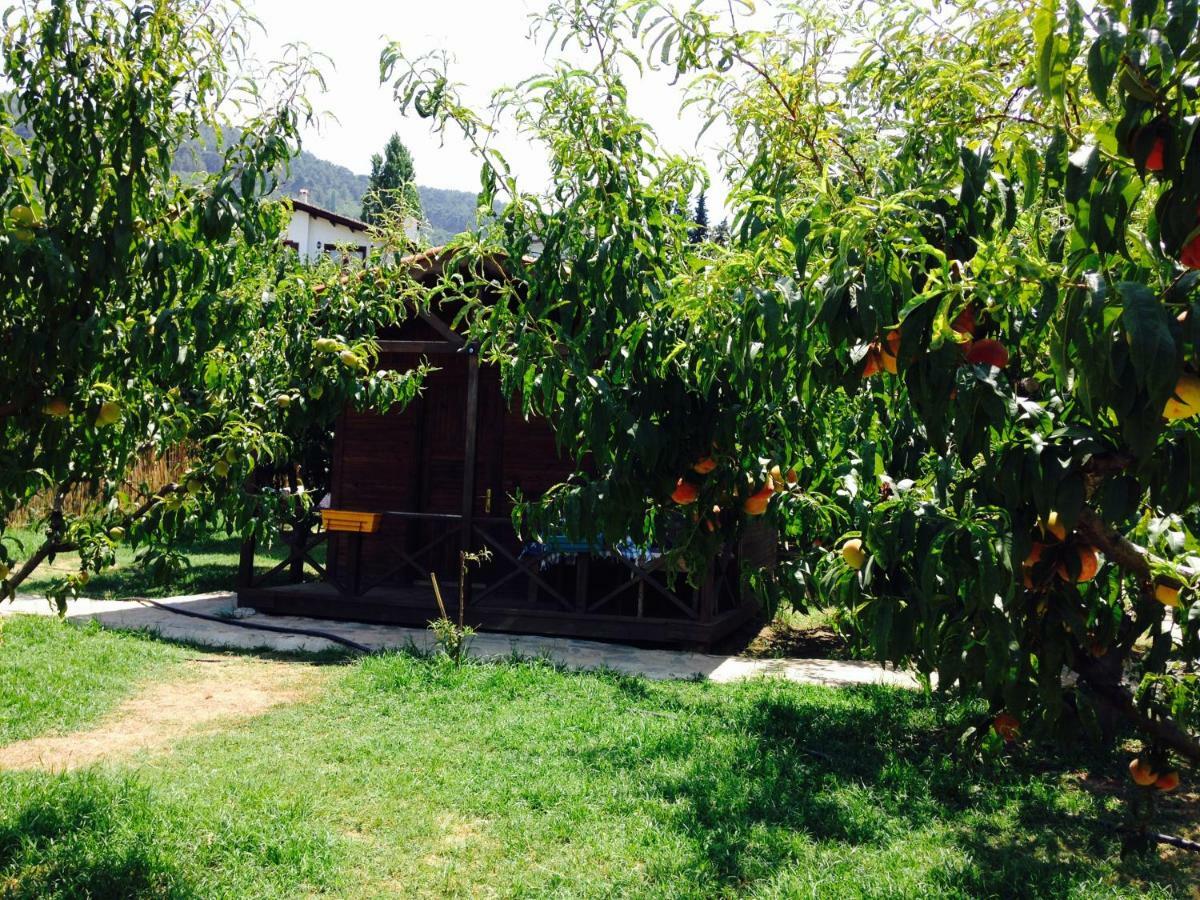 Salkim Konak Ve Agac Evler Guest House Selcuk Exterior photo