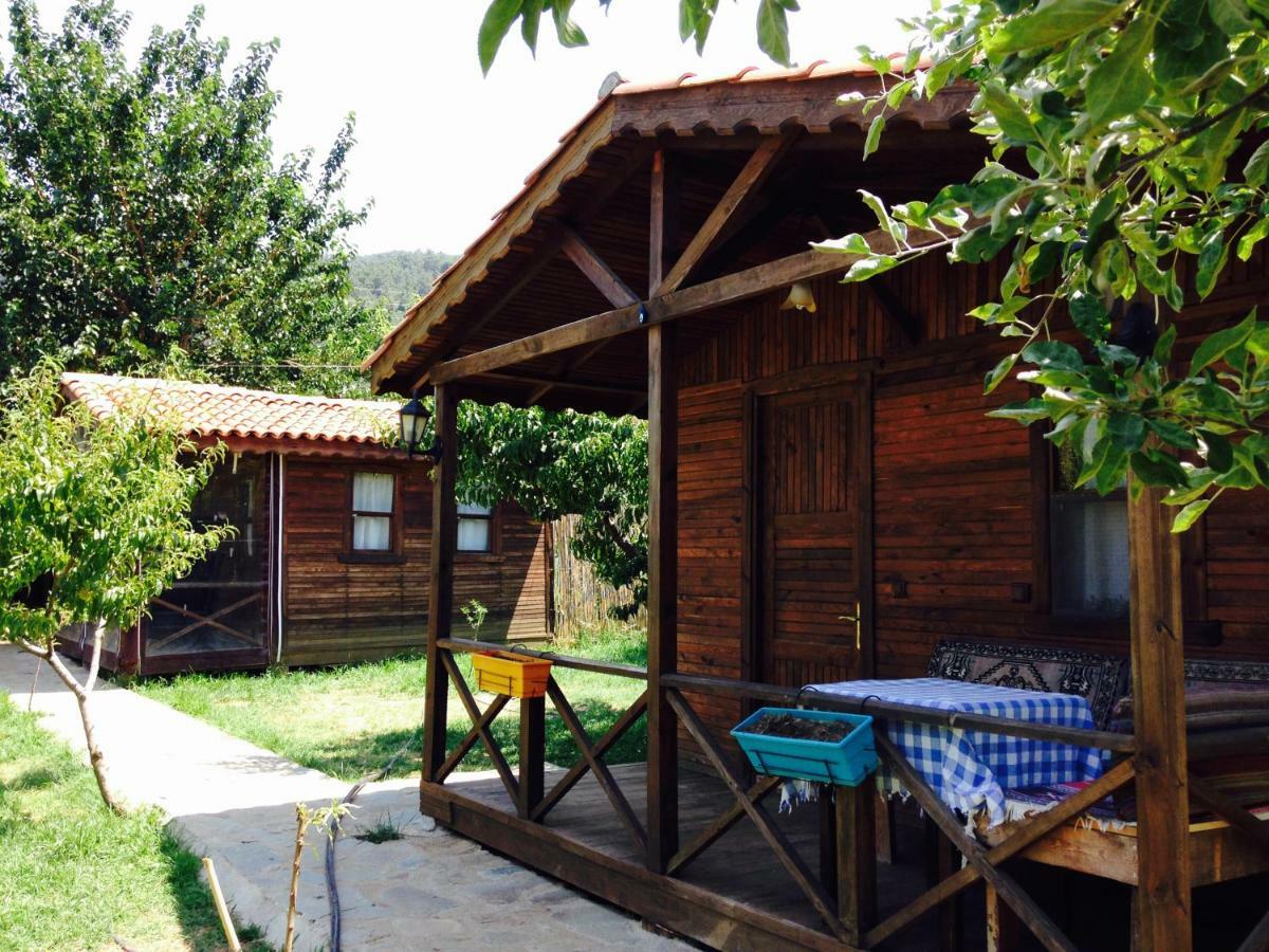 Salkim Konak Ve Agac Evler Guest House Selcuk Exterior photo